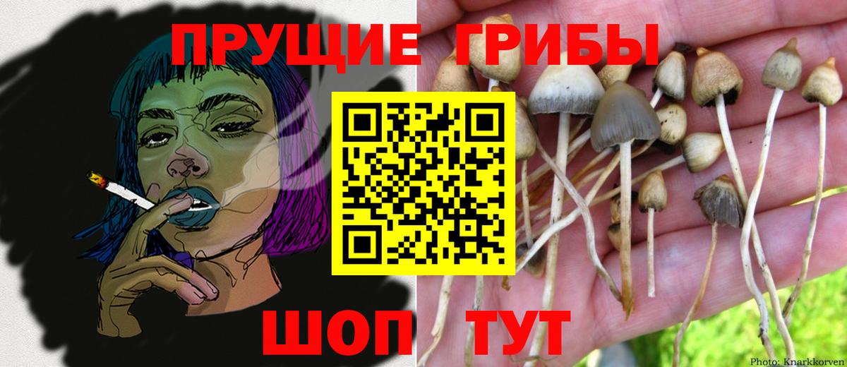 Псилоцибиновые грибы Cubensis  Вход с VPN  Рыбинск  Галлюциногенные грибы ЛСД 